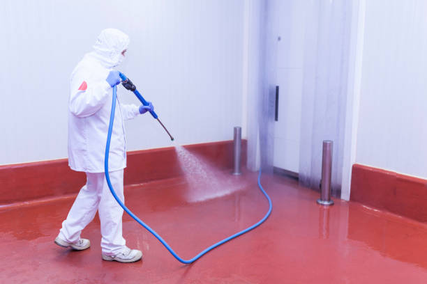 Best Driveway Pressure Washing  in Wadena, MN
