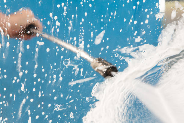 Best Spring Cleaning  in Wadena, MN