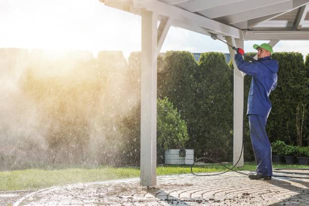 Best Dumpster Area Cleaning  in Wadena, MN
