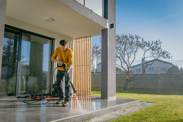 Best Solar Panel Cleaning  in Wadena, MN