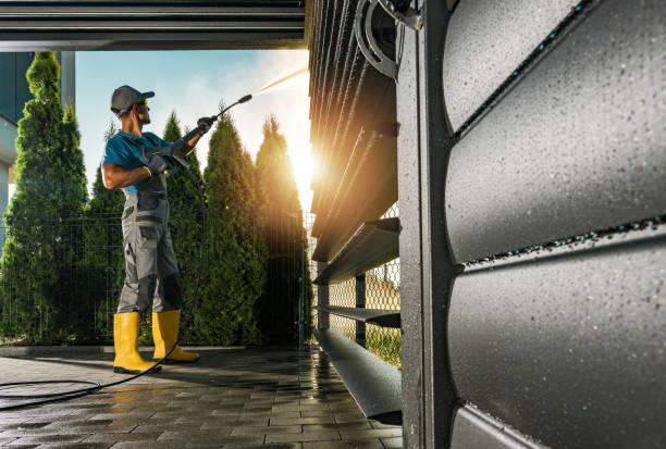 Best Residential House Exterior Washing  in Wadena, MN
